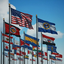 All the U.S state flags