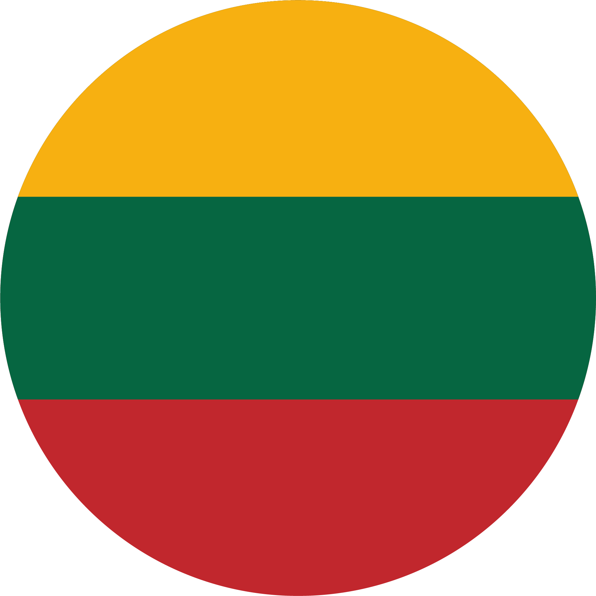 Flag of Lithuania – Colors Meaning & History | AllWorldFlags