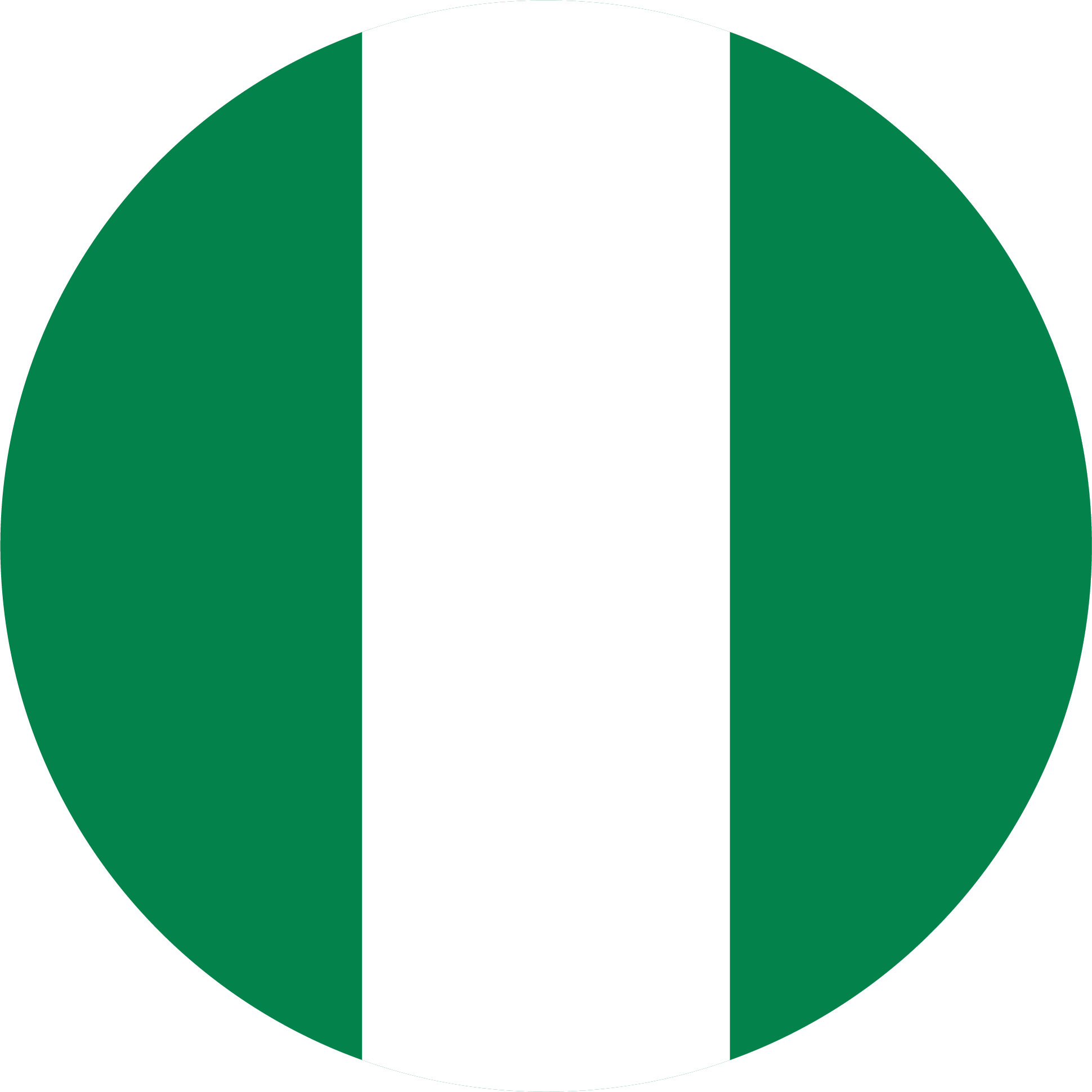 Flag of Nigeria – Colors Meaning & History | AllWorldFlags